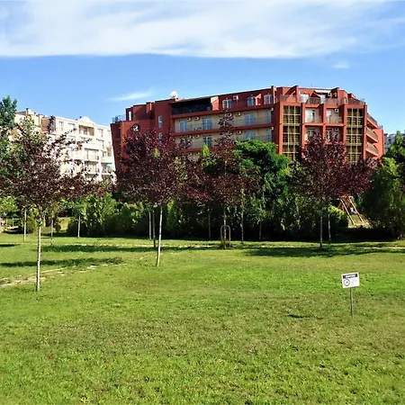 студио до кики бийч 써니비치