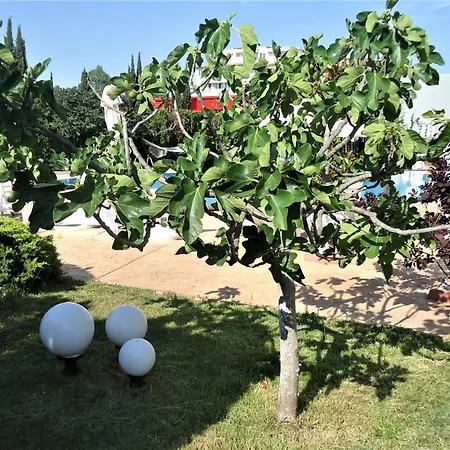 студио до кики бийч 아파트 *