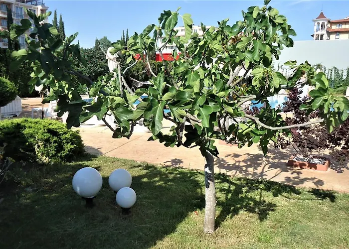 студио до кики бийч Apartman *